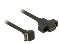 DeLOCK Kabel USB Key A 20Pin-Type-C(F) 3.1 45CM Panel Mount
