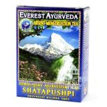 Shatapushpi regulacja cyklu miesiączkowego 100g Everest Ayurveda
