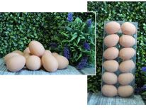 Jajka wielkanocne naturalne 5,5 cm w pudełku - kpl 12 szt 