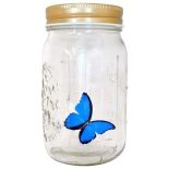 Motyl w słoiku - Błękitny morpho