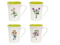 VERONI CITRUS KUBEK 380ml