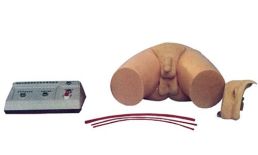 Model treningowy/ sprzęt szkoleniowy do cewnikowania i drenażu pęcherza moczowego i lewatywy  - męsko/żeński HUG D