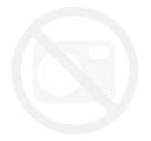 Voigt Dezynfekcja N VC 550 0,6l