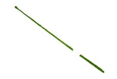 Łodyga zielona 52 cm
