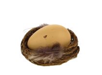 GNIAZDO z jajkiem 7x6 cm