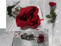 Walentynkowa RÓŻA rozwinięta w rożku foliowym 40 cm - 1 szt