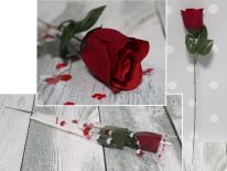 Walentynkowa RÓŻA w rożku foliowym 42 cm - 1 szt