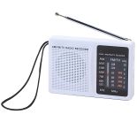 Radio FM białe
